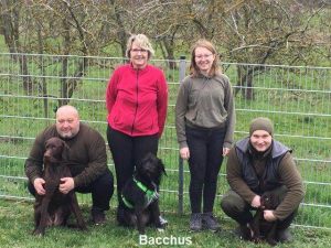 Bacchus ist im Weinanbaugebiet Franken tätig und freut sich sein ganzes weitere jagdliche und private Hundeleben mit einem angehenden Berufsjäger zu verbringen
